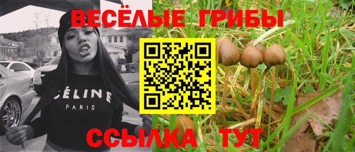 Псилоцибиновые грибы ЛСД  Вход с VPN  Шатура  Галлюциногенные грибы MAGIC MUSHROOMS 